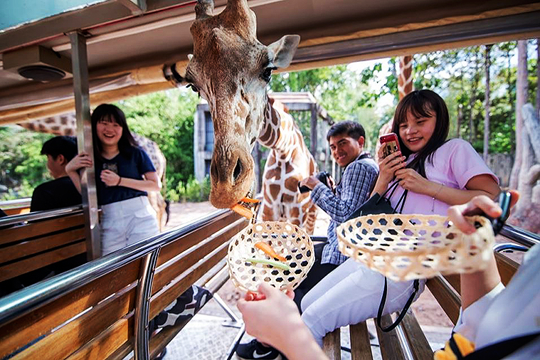 치앙마이 나이트 사파리, 치앙마이 데이 사파리, Day Safari Chiang Mai, Night Safari, 치앙마이 동물원, 치앙마이 야간 동물원